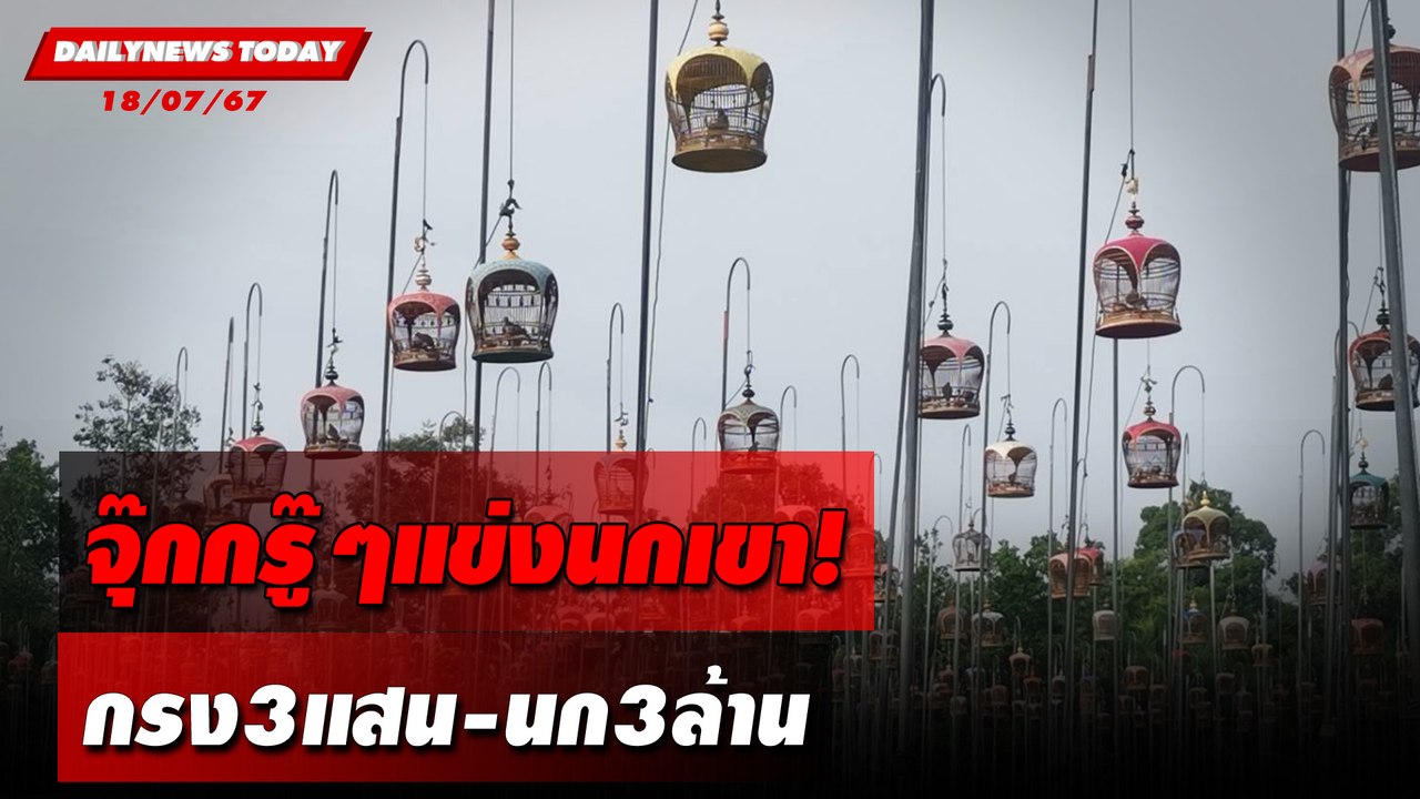 จุ๊กกรู๊ๆแข่งนกเขา! กรง3แสน-นก3ล้าน | DAILYNEWSTODAY 18/07/67