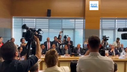 Turquie : un projet de loi controversé pour contrôler la population de chiens errants dans le pays