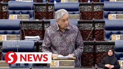 Over 50% of companies with halal certs are non-bumiputra, says Zahid