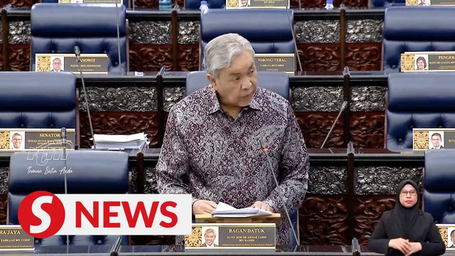 Over 50% of companies with halal certs are non-bumiputra, says Zahid