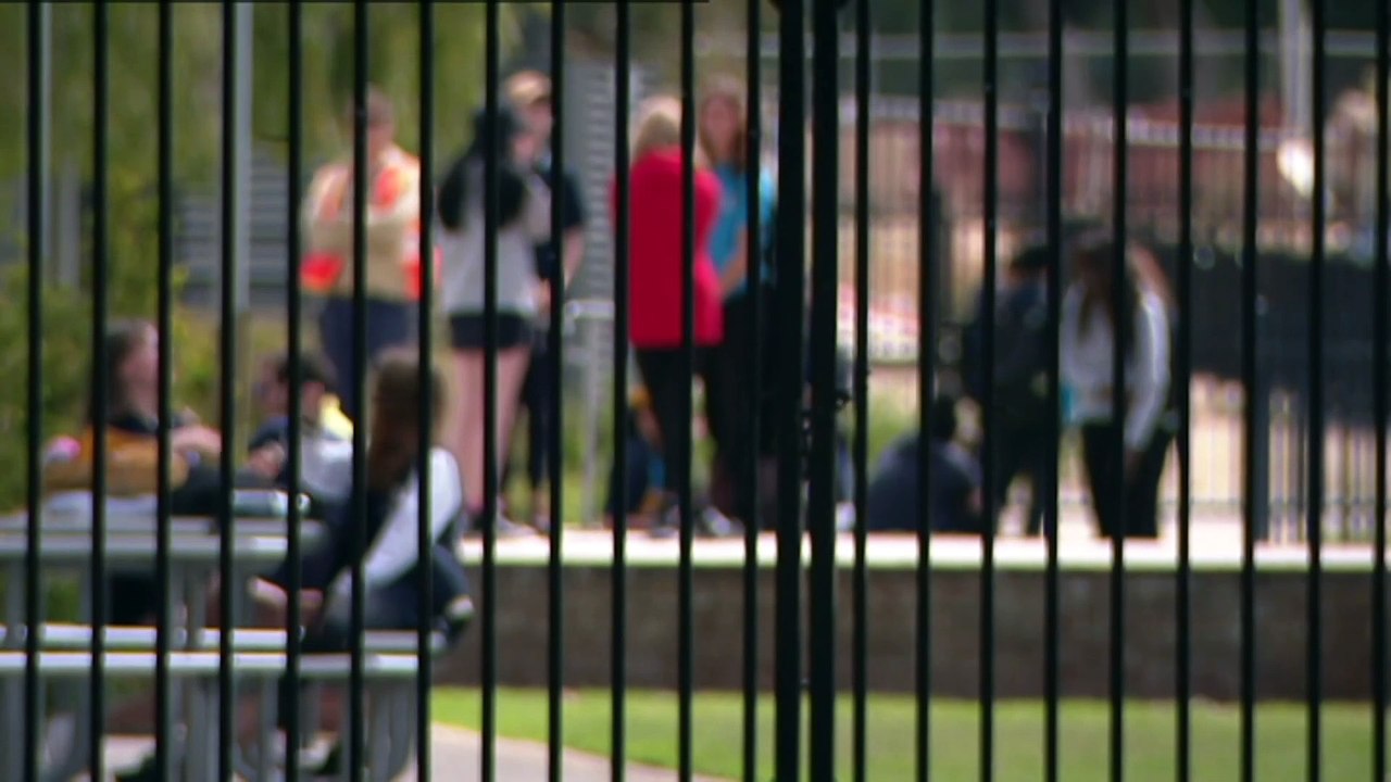 Disability advocates call for South Australian schools to phase out segregated education