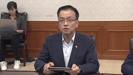 "2029년까지 시세보다 크게 저렴하게 23만 6천 호 분양" / YTN