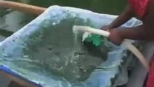Visit a local culture of spirulina in Madurai