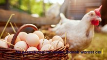Ceny jaj w sklepie i od rolnika