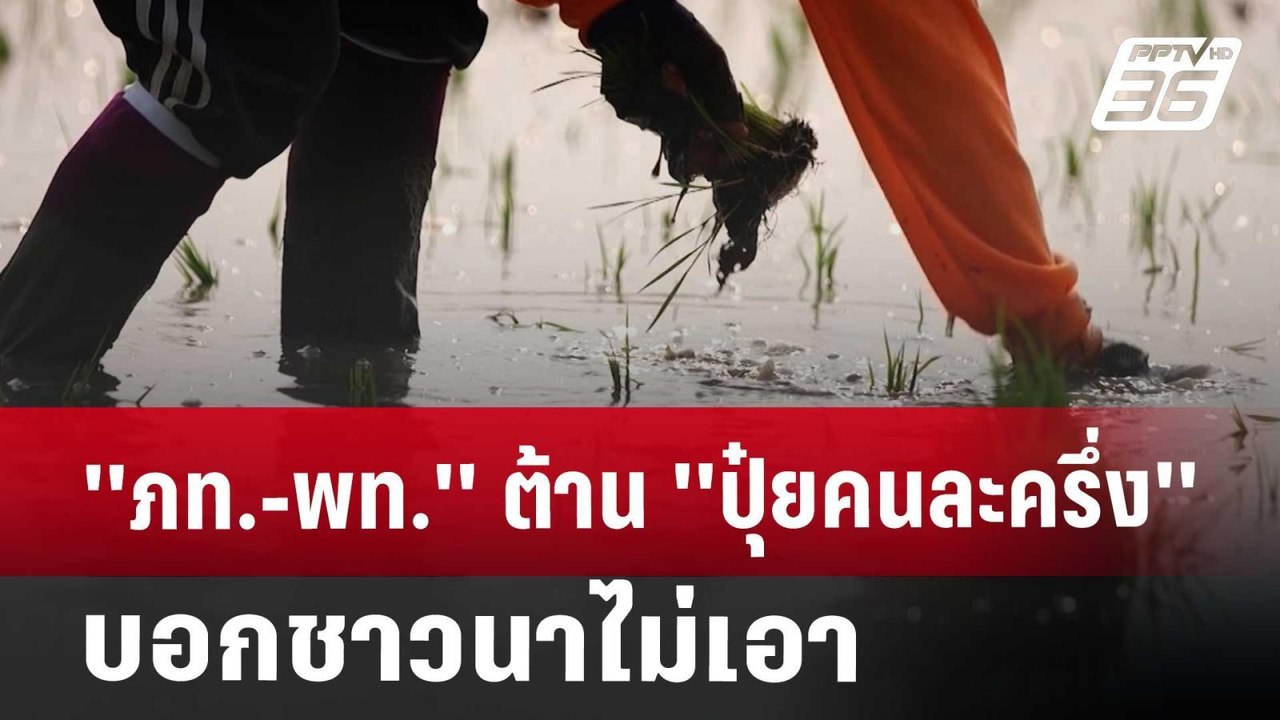 'ภท.-พท.'  ต้าน 'ปุ๋ยคนละครึ่ง'บอกชาวนาไม่เอา |...