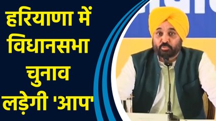 मुख्यमंत्री Bhagwant Mann ने किया बड़ा ऐलान कहा-AAP ने Haryana में चुनाव लड़ने का फैसला किया है