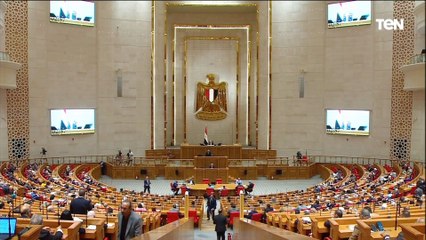 رئيس الهيئة البرلمانية لحزب حماة الوطن يعلن الموافقة على برنامج الحكومة