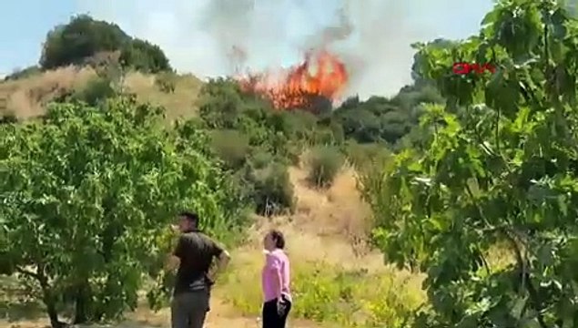 Yine ciğerlerimiz yanıyor: Manisa'da orman yangını