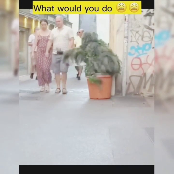 judge yourself.#pranks #funny #laugh #funnyvideos #funnyvideo#prank #viral #failvideos#fun #fyp