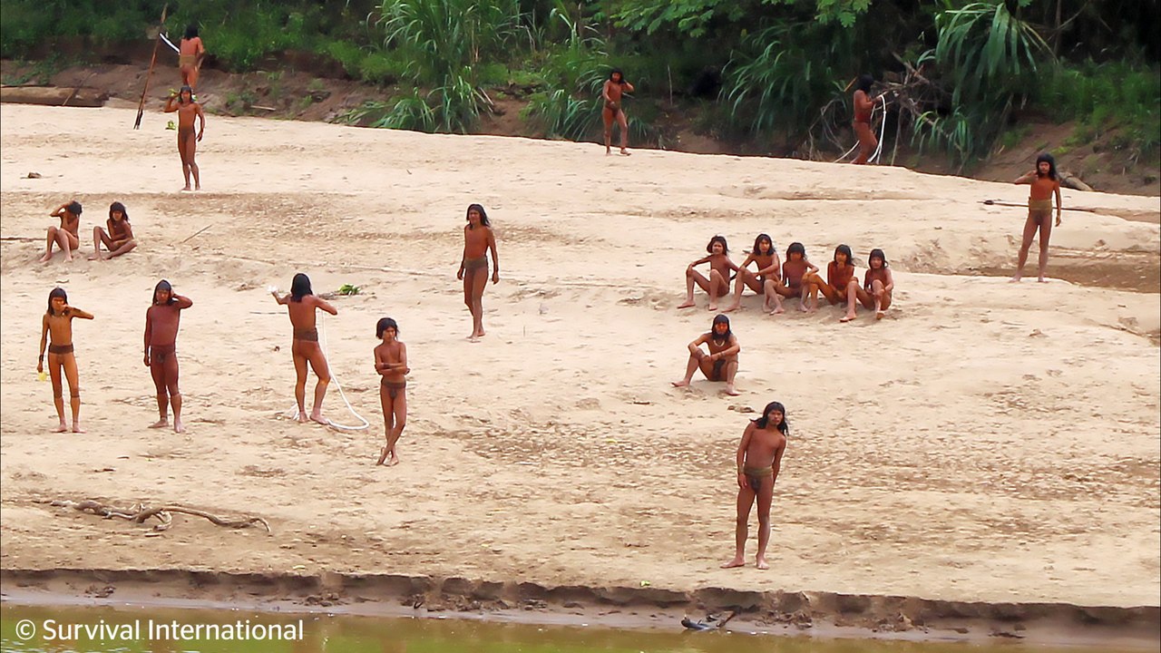 Disturbing video shows uncontacted tribe dangerously close to logging works