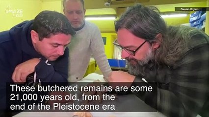 Archeologists Find Ancient Butchered Remains of Giant Armadillo, the First Signs of the Human Species in South America