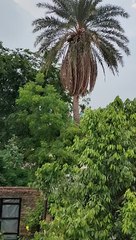 25 June 4:49 Pm 2024 Nice Calm Weather