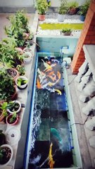 unique fish pond view