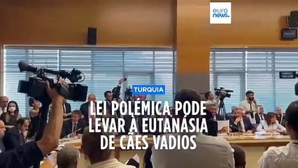 Ativistas denunciam projeto de lei do partido de Erdogan que prevê abate de cães vadios "agressivos"