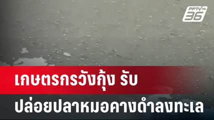 เกษตรกรวังกุ้ง รับ ปล่อยปลาหมอคางดำลงทะเล 2 ตัน! | เข้มข่าวค่ำ | 18 ก.ค. 67