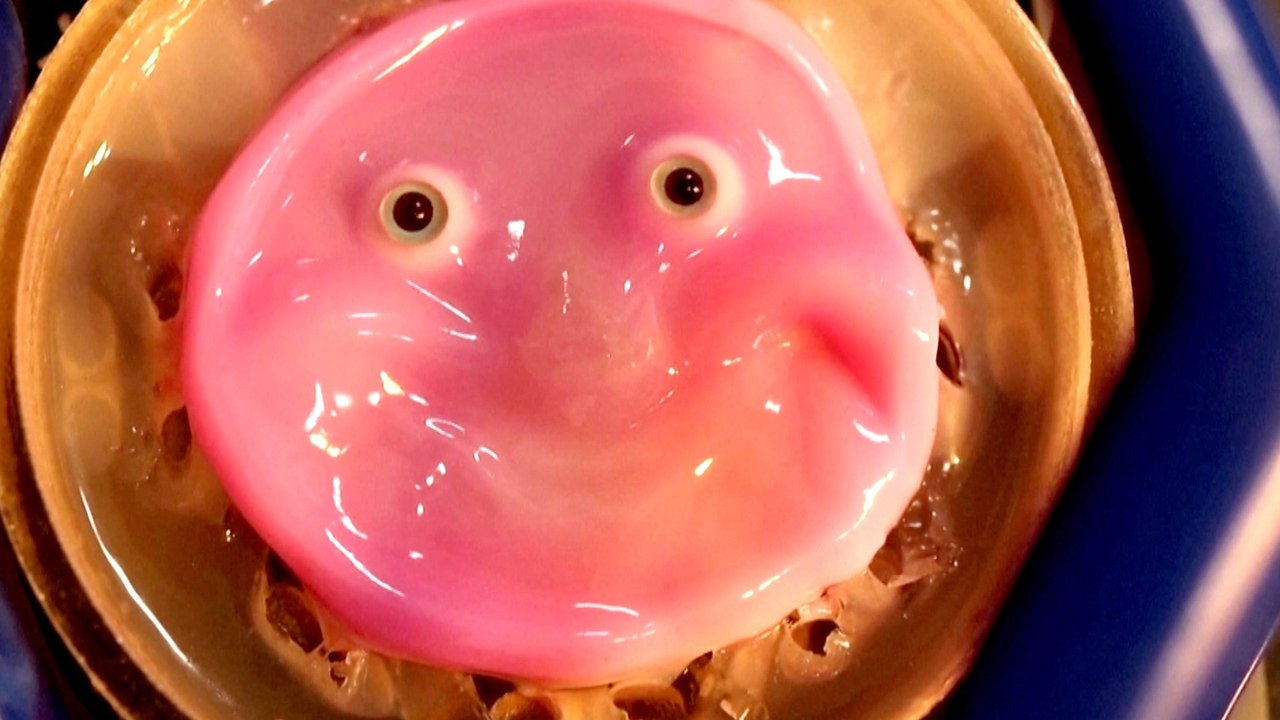 Must See! Japanese Engineers Create Living Skin Robo-Face That Can Smile at You