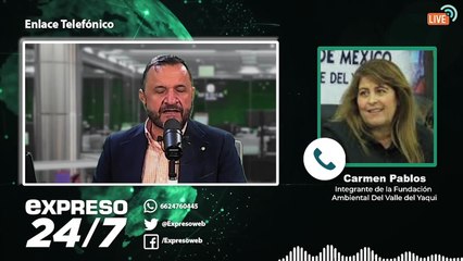 Ambientalistas exigen sanción para CFE por tala de árboles