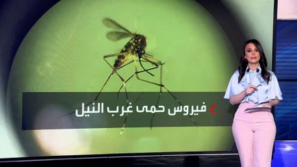 "الصحة العالمية" تحذر من الإصابات الفيروسية الناجمة عن لدغات البعوض