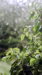 Beautiful nature views