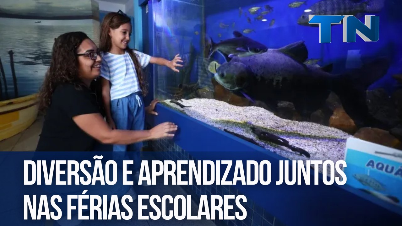 Diversão e aprendizado juntos nas férias escolares