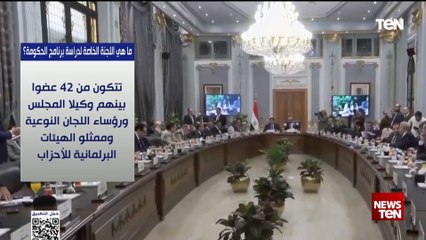 ما هي اللجنة الخاصة لدراسة برنامج الحكومة؟