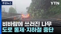 도로에 지하철·항공기까지...시민들, 발만 동동 / YTN