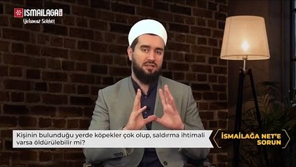 İsmailağa Fetva Kurulu üyesi Türkeri'den başıboş köpek açıklaması!