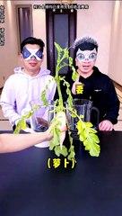 #comedyentertaninment