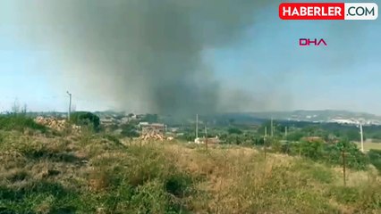 Foça'da çıkan orman yangınında mahalle tahliye edildi