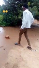 Vile Gen Z wanaingia weekend ------__Tufuatilie kupitia YouTube Channel yetu ya _STBongoTV pia tazama _STBongoTV kupitia kisimbuzi cha _startimestz CH 161 (antena) na 401 (Dish) na mitandao yatu ya kijamij kufahamu matukio mbalimbali yanayoj(