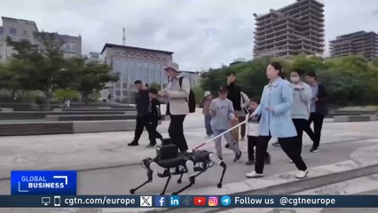 China’s robotic dog growth