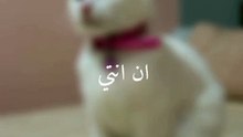 La princess louska