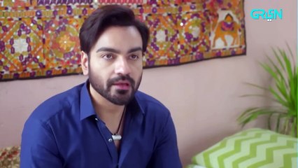Pas e Deewar Episode 3   Arsalan Naseer   Noor Zafar Khan   Ali Rehman Khan [ ENG CC ] Green TV