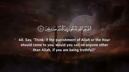 Surah Al Anaam (Tranquility) سورة الأنعام Omar Hisham