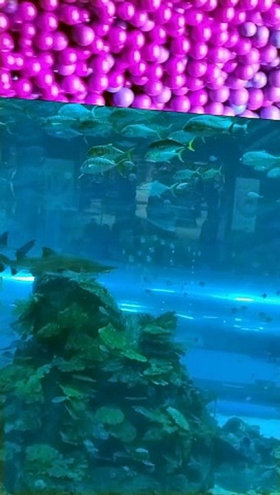 @@m@ @@mmm @com #dubai.com