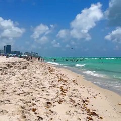 Like And Follow More Vlogs Like This