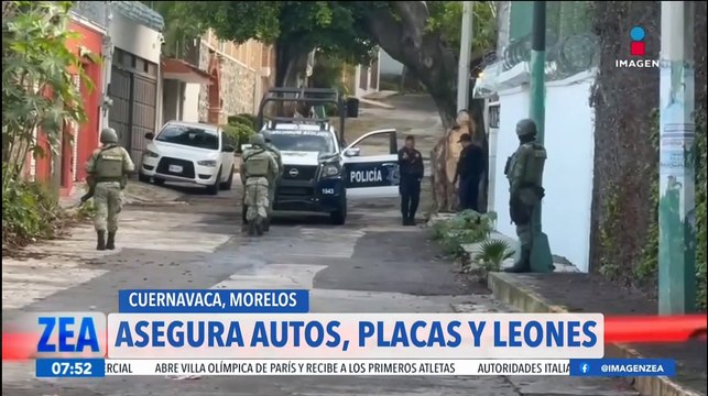 Aseguran autos, placas, identificaciones y dos leones en Cuernavaca, Morelos