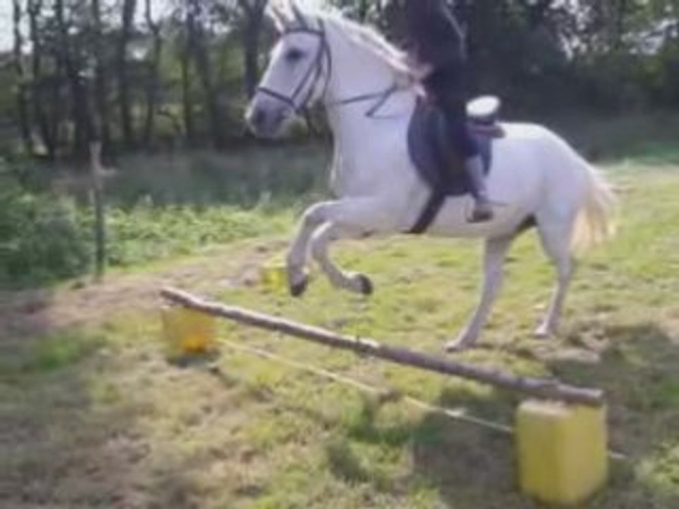 Nous3 en saut