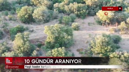 Muğla'da yaşlı kadın tarlada ölü bulundu