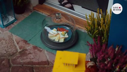 HUSBAND CHEATS NEXT DOOR _ _LoveBusterShow