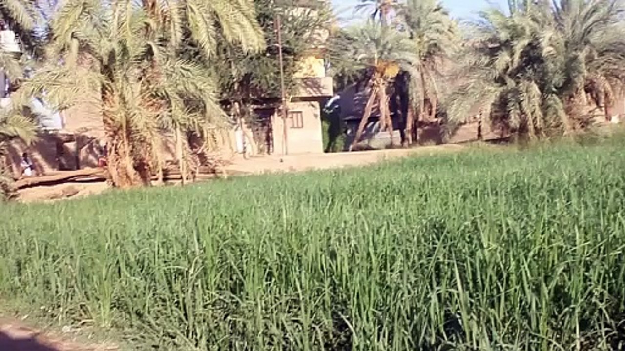 المقلب الثالث