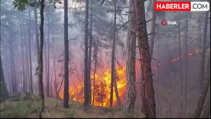 Kütahya Gediz'deki orman yangını kontrol altına alındı