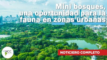 Mini bosques, una oportunidad para la fauna en zonas urbanas | 675 | 22 al 28 de julio de 2024