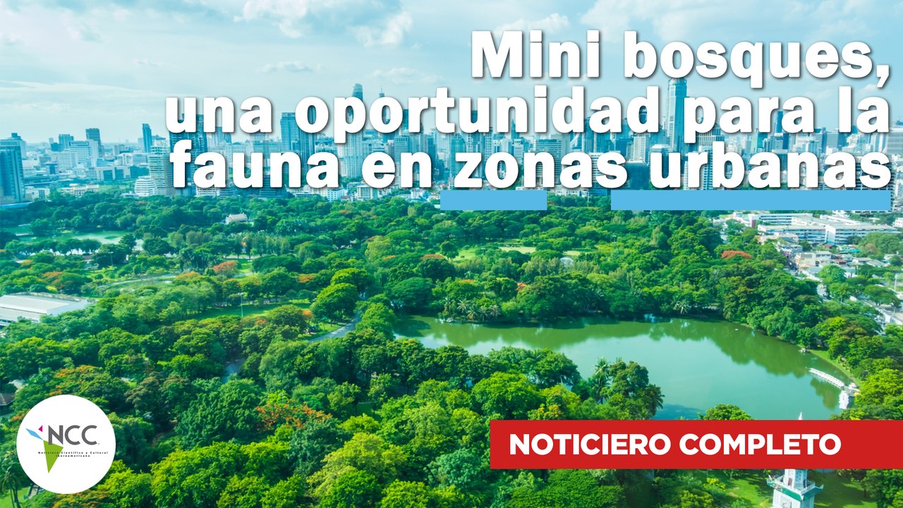 Mini bosques, una oportunidad para la fauna en...