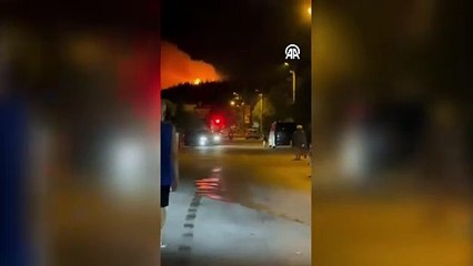 Ayvalık’ta orman yangını!