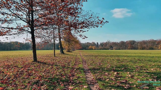 Gollmothag Adventures Official - Exploring The Hidden Gems Of Monza - Must See Attractions!