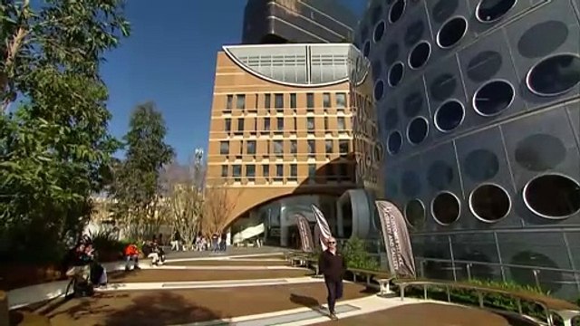 NSW government gives Liverpool City Council one week to prove why it shouldn't be suspended and local elections postponed