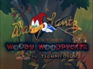 Woody Woodpecker Show: All Classic Episodes