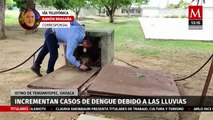 El aumento de los casos de dengue ha generado alerta en el Istmo de Tehuantepec, Oaxaca