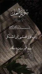 Surah Al namal with Urdu translation | tilawat |quran |surah Al baqra